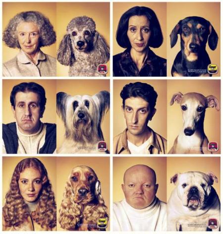 Des ressemblance animal et....
